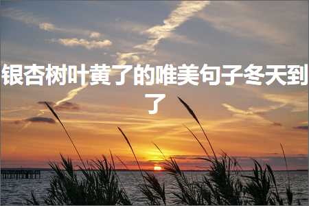 澶镐竴涓汉瀛楀啓寰楀ソ鐨勫敮缇庡彞瀛愶紙鏂囨919鏉★級